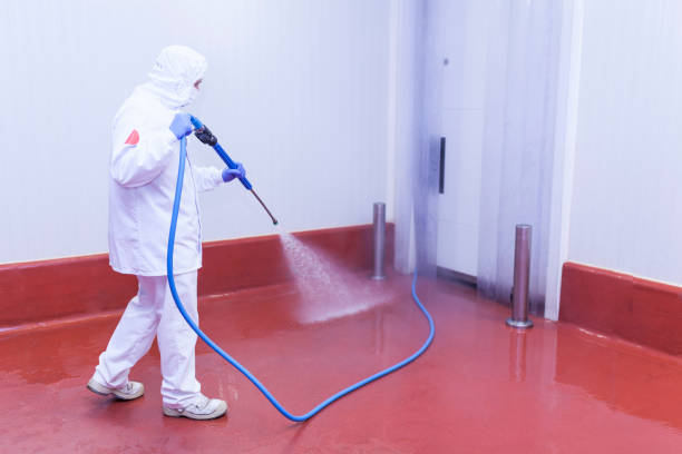 Best Rust Removal  in Highlands, CA